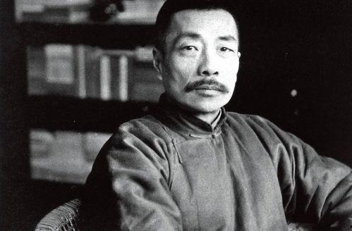 娱乐吃瓜酱鲁迅,揭秘娱乐圈的荒诞与真实