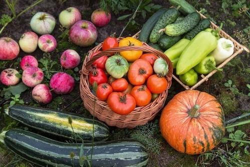 吃瓜娱乐园,娱乐圈幕后故事大公开