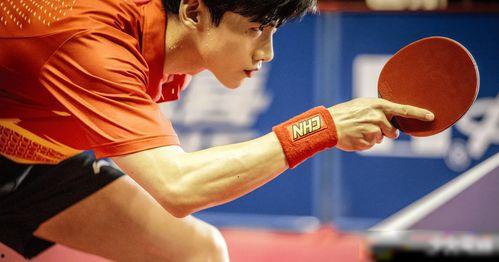 娱乐圈理性吃瓜白敬亭,娱乐圈理性吃瓜者的智慧与坚守